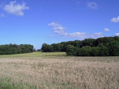 Holiday house Modernes Refugium am Golfplatz -- By Traum Ferienwohnungen - Outdoor photo 13