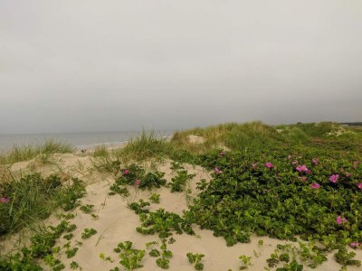 Holiday house Luxury Retreat with Pool - By Traum Ferienwohnungen - Outdoor photo 16