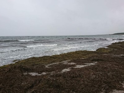 Holiday house Luxus-Poolvilla in Bagenkop -- By Traum Ferienwohnungen - Outdoor photo 18