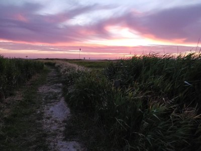 Holiday house Luxus-Poolvilla in Bagenkop -- By Traum Ferienwohnungen - Outdoor photo 28