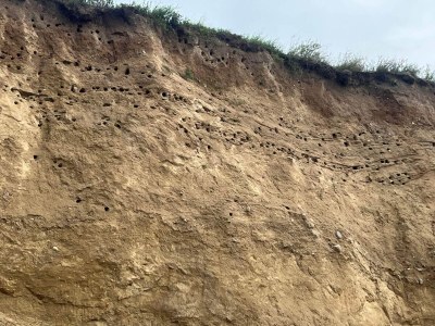 Holiday house Luxus-Poolvilla in Bagenkop -- By Traum Ferienwohnungen - Outdoor photo 29