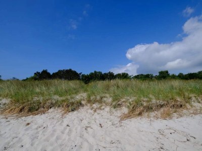 Holiday house Gemutliches Refugium in Marielyst -- By Traum Ferienwohnungen - Outdoor photo 9