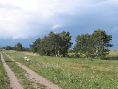 Holiday house Gemutliches Refugium in Marielyst -- By Traum Ferienwohnungen - Outdoor photo 25