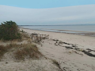 Holiday house Gemutliches Refugium in Marielyst -- By Traum Ferienwohnungen - Outdoor photo 26