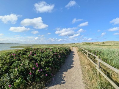 Holiday house Strandspab & Entspannung -- By Traum - Outdoor photo 25