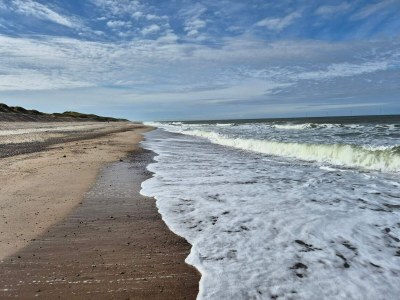 Holiday house Strandspab & Entspannung -- By Traum - Outdoor photo 34