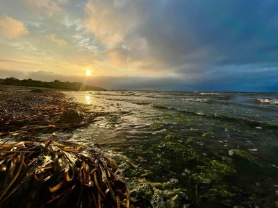 Holiday house 10 Personen Ferienhaus in Roslev - Outdoor photo 36