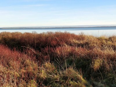 Holiday house 10 Personen Ferienhaus in Roslev - Outdoor photo 40