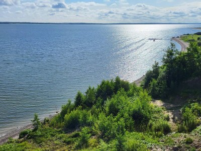 Holiday house 10 Personen Ferienhaus in Roslev - Outdoor photo 46