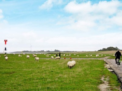 Holiday house 6 Personen Ferienhaus in Otterndorf - Outdoor photo 6