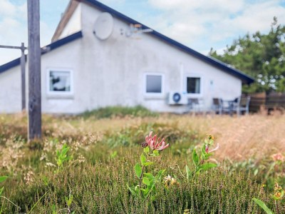 Holiday house 7 Personen Ferienhaus in Thisted-By Traum - Outdoor photo 8