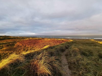 Holiday house 7 Personen Ferienhaus in Thisted-By Traum - Outdoor photo 15