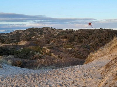 Holiday house 7 Personen Ferienhaus in Thisted-By Traum - Outdoor photo 27