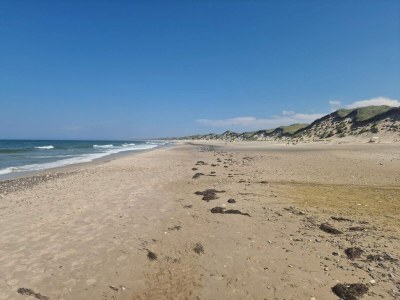 Holiday house 7 Personen Ferienhaus in Thisted-By Traum - Outdoor photo 34