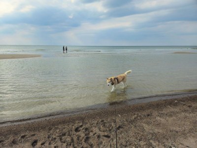 Holiday house Luxurioses Refugium mit Pool -- By Traum Ferienwohnungen - Outdoor photo 22