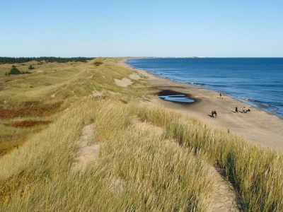 Holiday house 8 person holiday home in Ålbæk-By Traum - Outdoor photo 13