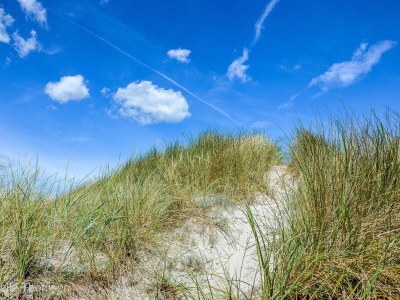 Holiday house 8 person holiday home in Ålbæk-By Traum - Outdoor photo 34