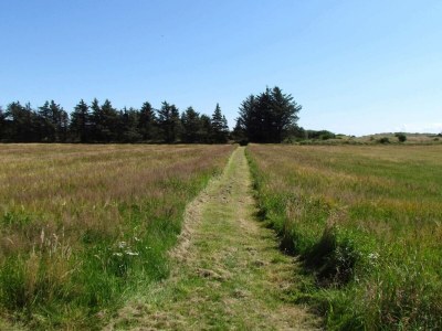 Holiday house 6 person holiday home in Skagen-By Traum - Outdoor photo 21