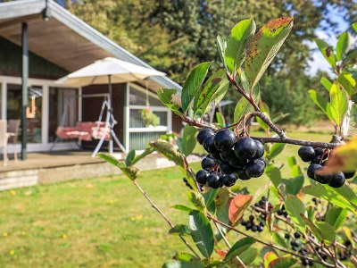 Holiday house 8 person holiday home in Skals-By Traum - Outdoor photo 17