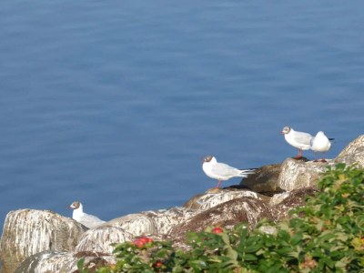 Holiday house 8 person holiday home in Skals-By Traum - Outdoor photo 27