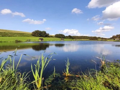 Holiday house 8 person holiday home in Skals-By Traum - Outdoor photo 28