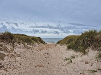 Holiday house 6 person holiday home in Harboøre-By Traum - Outdoor photo 34