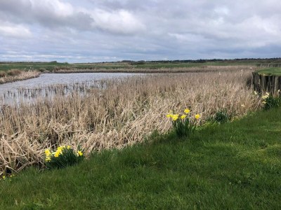 Holiday house Meeresgluck in Lynderup -- By Traum Ferienwohnungen - Outdoor photo 11