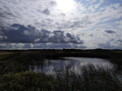 Holiday house Meeresgluck in Lynderup -- By Traum Ferienwohnungen - Outdoor photo 16