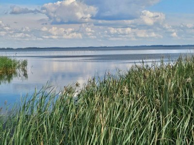 Holiday house Luxury Retreat near Sea - By Traum Ferienwohnungen - Outdoor photo 31
