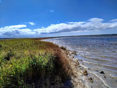 Holiday house Luxury Retreat near Sea - By Traum Ferienwohnungen - Outdoor photo 36