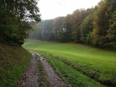 Holiday house Panoramisches Refugium in Andkaer Vig -- By Traum Ferienwohnungen - Outdoor photo 10