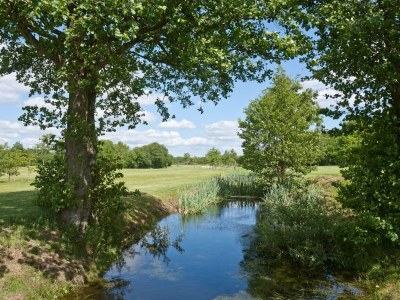 Holiday house Panoramisches Refugium in Andkaer Vig -- By Traum Ferienwohnungen - Outdoor photo 13