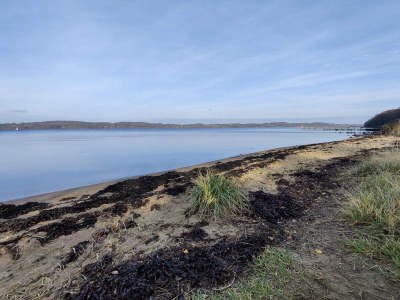 Holiday house Panoramisches Refugium in Andkaer Vig -- By Traum Ferienwohnungen - Outdoor photo 15