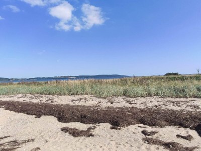 Holiday house Panoramisches Refugium in Andkaer Vig -- By Traum Ferienwohnungen - Outdoor photo 30