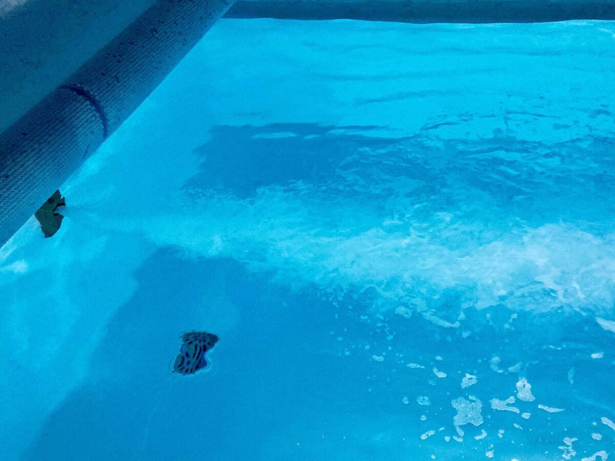 Holiday house 12 Personen Ferienhaus in Ringkøbing-By Traum - Outdoor photo 5