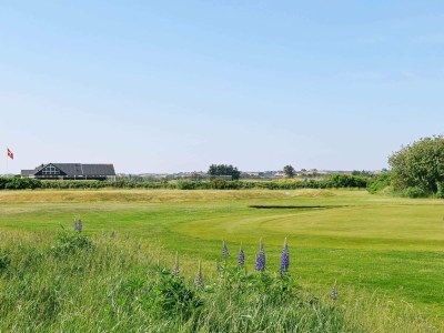 Holiday house 12 Personen Ferienhaus in Ringkøbing-By Traum - Outdoor photo 9