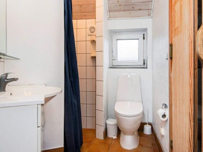 Holiday house 12 Personen Ferienhaus in Ringkøbing-By Traum - Outdoor photo 33