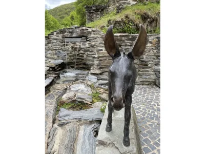 Holiday apartment Andrea - Environment photo 28