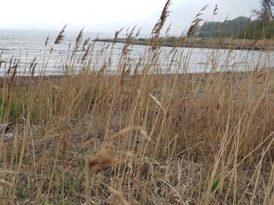 Holiday house 6 Personen Ferienhaus in Egernsund-By Traum - Outdoor photo 18