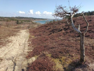 Holiday house Scenic Retreat in Boddum - By Traum Ferienwohnungen - Outdoor photo 10