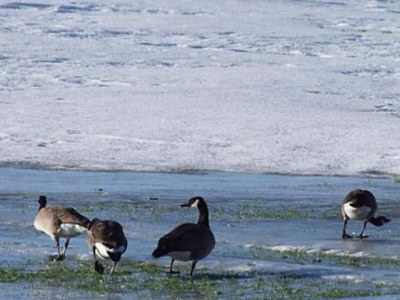 Holiday house Scenic Retreat in Boddum - By Traum Ferienwohnungen - Outdoor photo 32