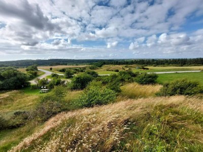 Holiday house Scenic Retreat in Boddum - By Traum Ferienwohnungen - Outdoor photo 33
