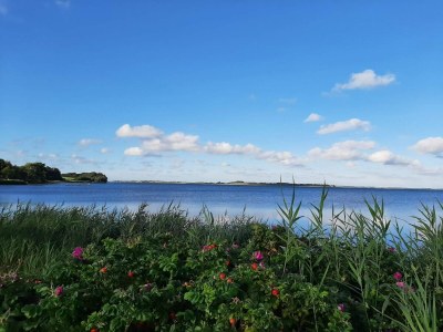 Holiday house Scenic Retreat in Boddum - By Traum Ferienwohnungen - Outdoor photo 36