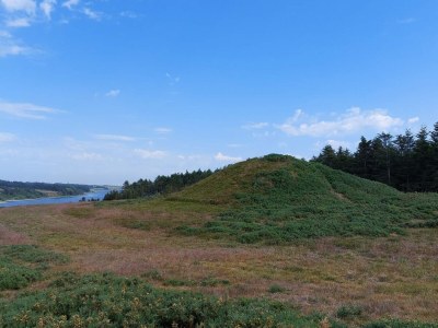 Holiday house Scenic Retreat in Boddum - By Traum Ferienwohnungen - Outdoor photo 42