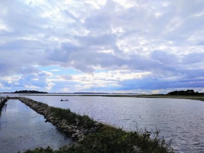 Holiday house 9 person holiday home in Millinge-By Traum - Outdoor photo 33