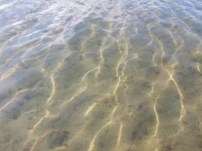 Holiday house 9 person holiday home in Millinge-By Traum - Outdoor photo 34