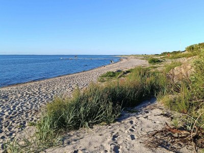 Holiday house Stilvolles Strandhaus -- By Traum Ferienwohnungen - Outdoor photo 46