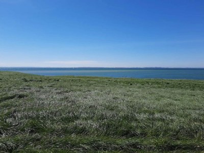 Holiday house Luxury Retreat with Pool - By Traum Ferienwohnungen - Outdoor photo 14