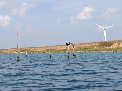 Holiday house Luxury Retreat with Pool - By Traum Ferienwohnungen - Outdoor photo 44