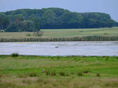 Holiday house 10 person holiday home in Væggerløse-By Traum - Outdoor photo 35